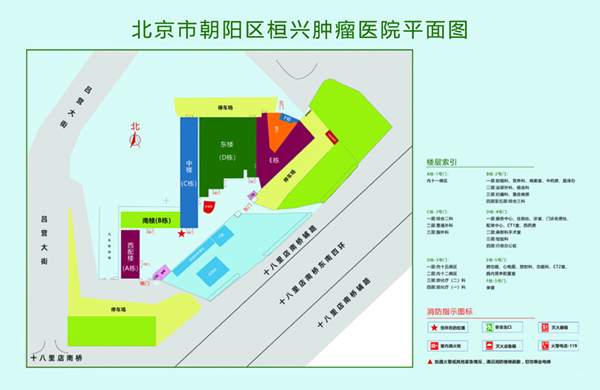 使劲操我啊啊北京市朝阳区桓兴肿瘤医院平面图